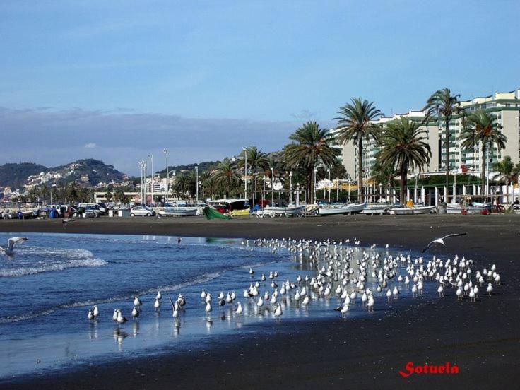 Apartamento El Bambu Cerca Del Mar Malaga Bagian luar foto